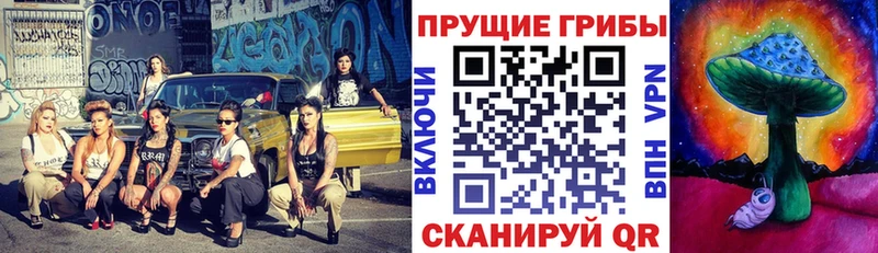 Купить закладки  Чегем  Псилоцибиновые грибы Psilocybe 